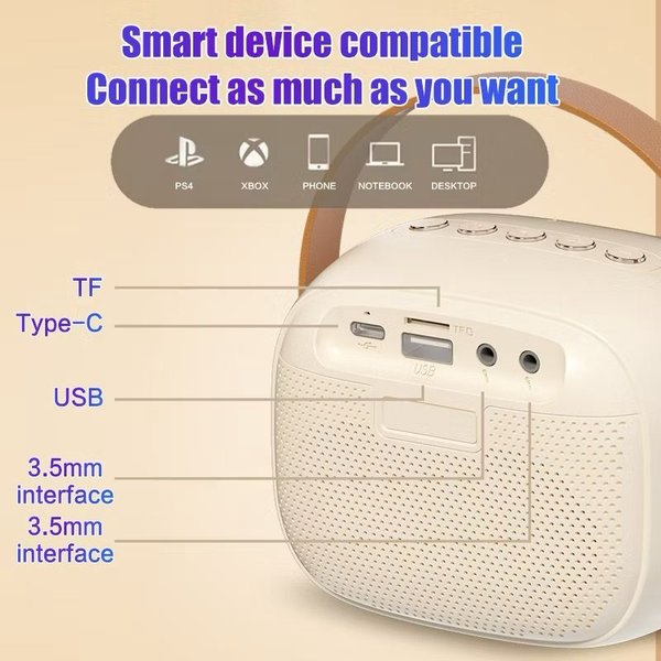 Portable Bluetooth Wireless Mini Karaoke Speaker with Dual Microphone and RGB Light K30